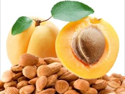 Bitter Apricot Kernels