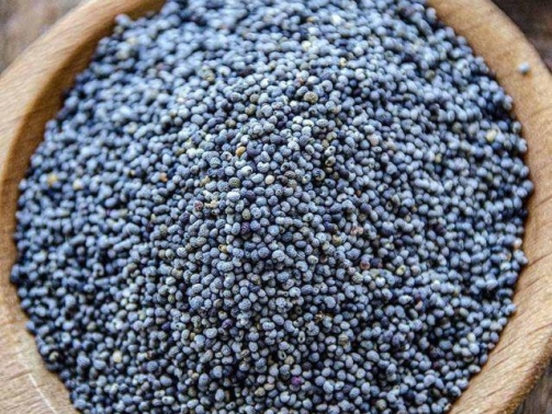 Blue Poppy Seeds