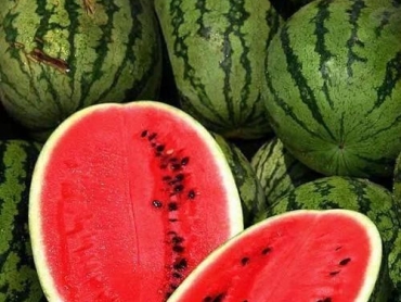 Fresh Watermelon