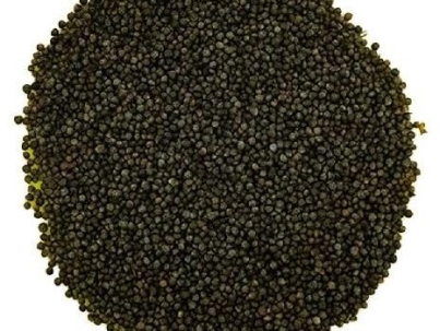 Perilla Seeds