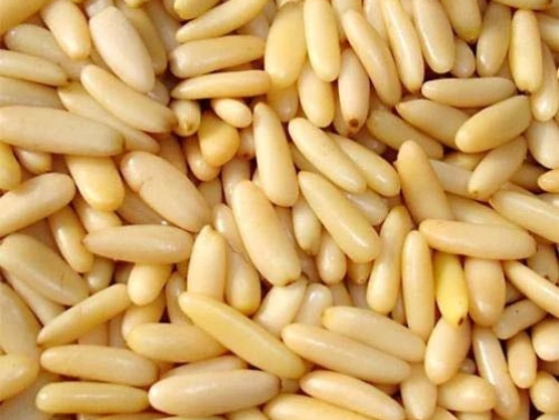 Pine Nuts