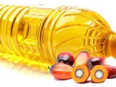 Refined Palm Oil
