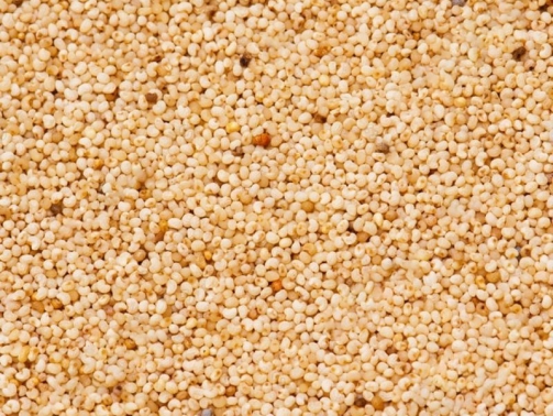 White Poppy Seeds
